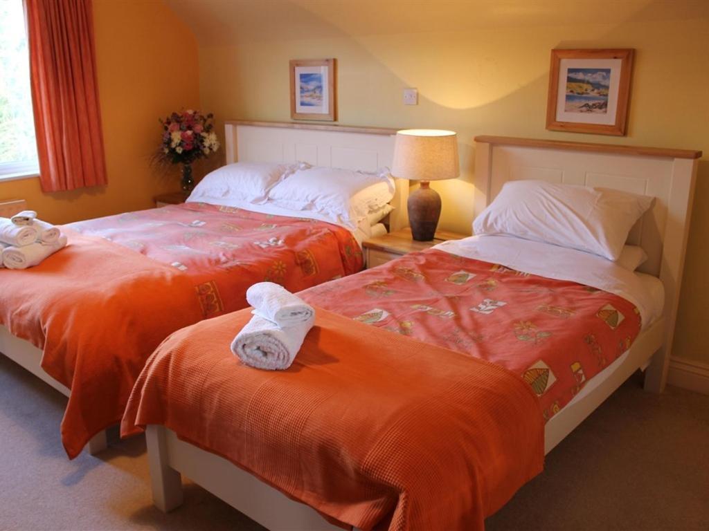 Blossom Hill Bed And Breakfast Killaloe Ngoại thất bức ảnh